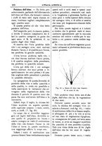 giornale/TO00210416/1904/unico/00000706