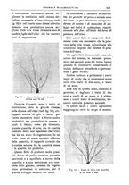 giornale/TO00210416/1904/unico/00000707