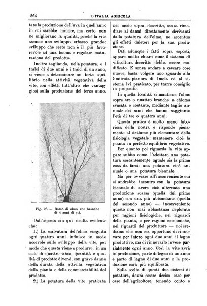 L' Italia agricola giornale di agricoltura