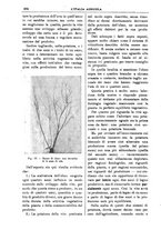 giornale/TO00210416/1904/unico/00000708