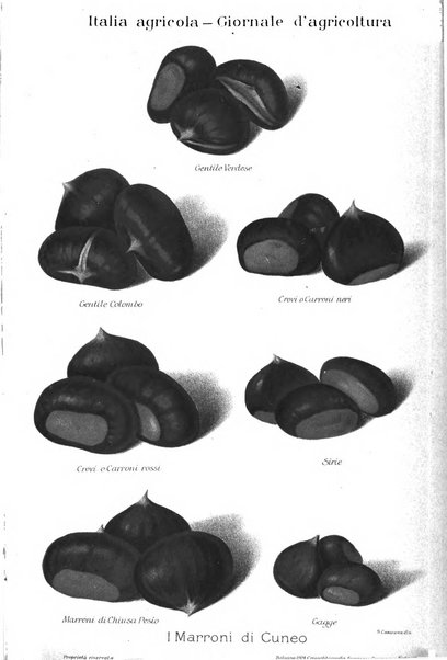 L' Italia agricola giornale di agricoltura