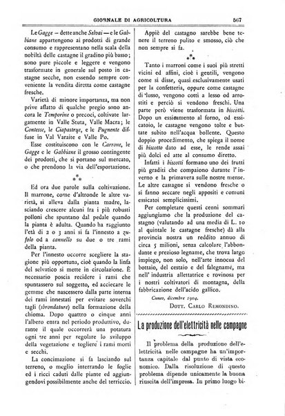 L' Italia agricola giornale di agricoltura