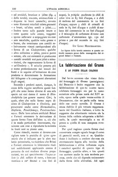 L' Italia agricola giornale di agricoltura