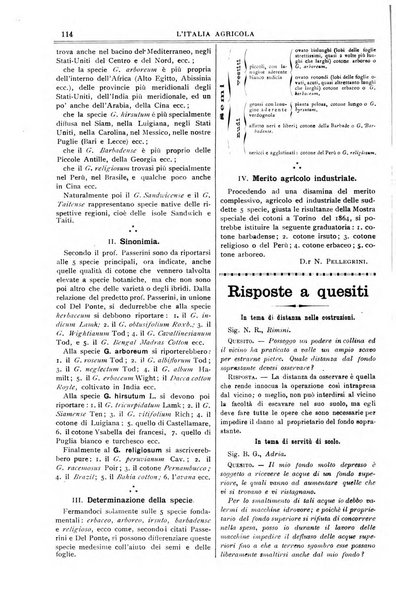 L' Italia agricola giornale di agricoltura