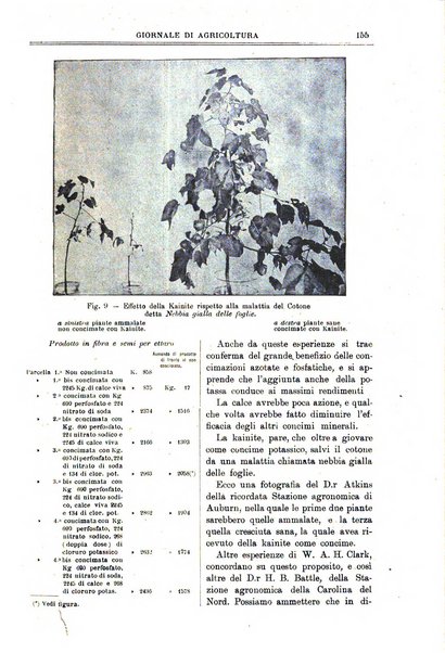 L' Italia agricola giornale di agricoltura