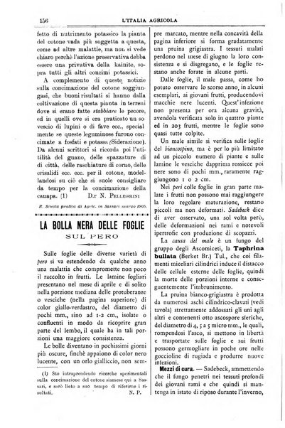 L' Italia agricola giornale di agricoltura