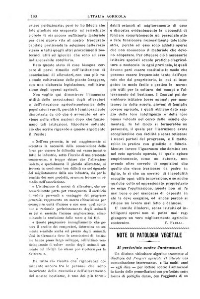 L' Italia agricola giornale di agricoltura