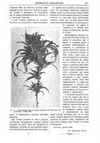 giornale/TO00210416/1905/unico/00000225