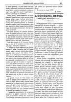 giornale/TO00210416/1905/unico/00000317