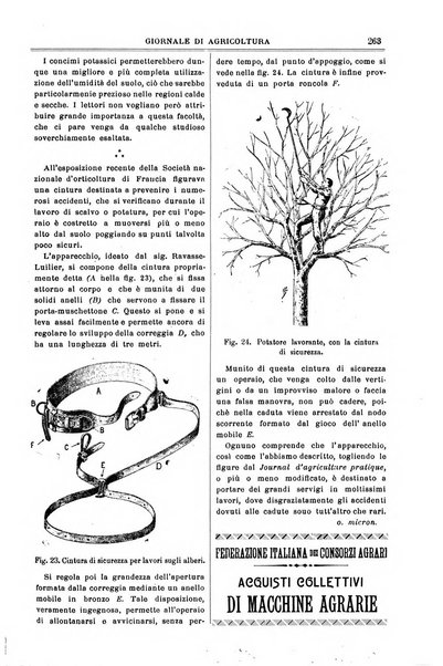 L' Italia agricola giornale di agricoltura