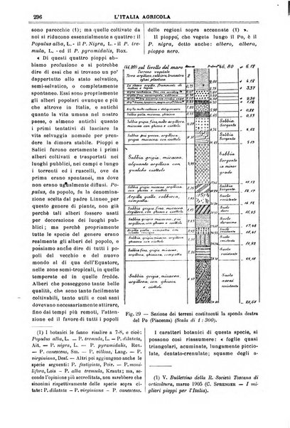 L' Italia agricola giornale di agricoltura