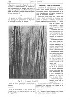 giornale/TO00210416/1905/unico/00000376