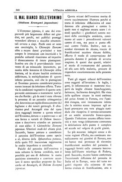 L' Italia agricola giornale di agricoltura