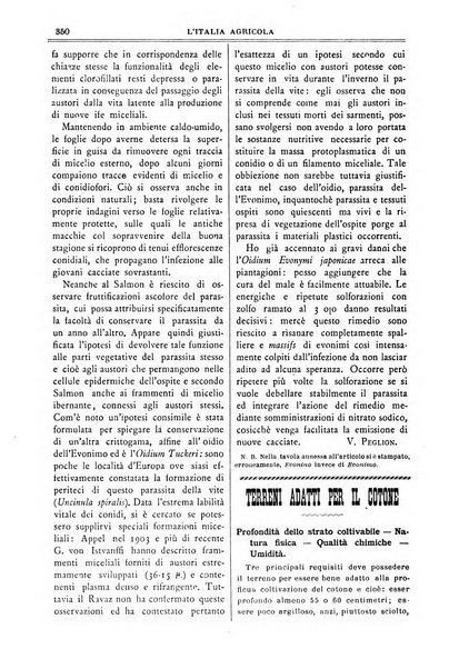 L' Italia agricola giornale di agricoltura