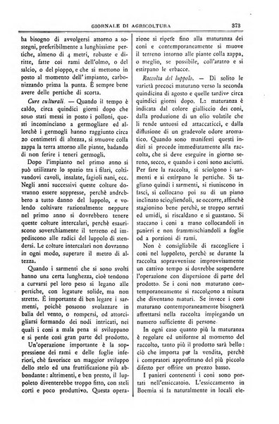 L' Italia agricola giornale di agricoltura