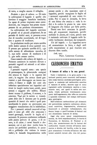 L' Italia agricola giornale di agricoltura