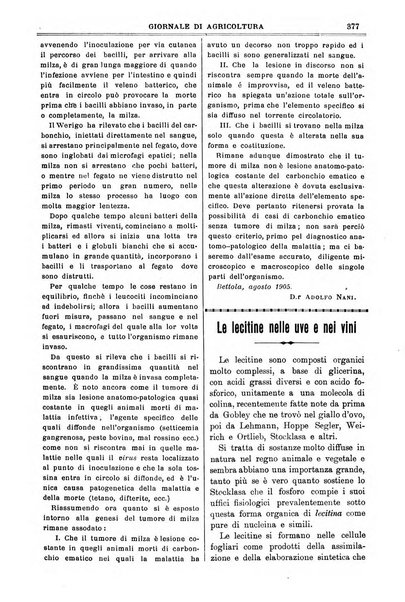 L' Italia agricola giornale di agricoltura