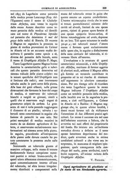 L' Italia agricola giornale di agricoltura