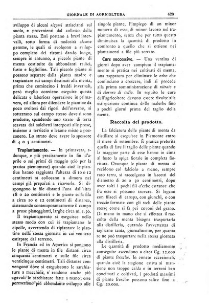 L' Italia agricola giornale di agricoltura