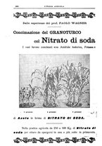 giornale/TO00210416/1905/unico/00000602