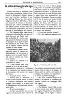 giornale/TO00210416/1905/unico/00000617