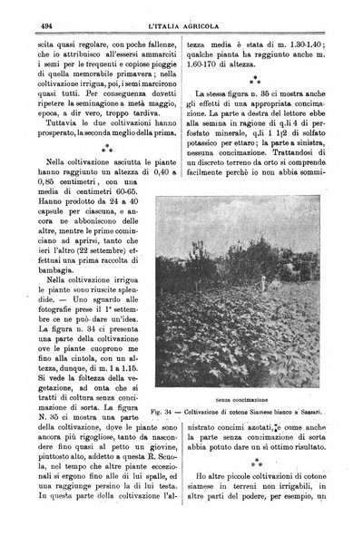 L' Italia agricola giornale di agricoltura