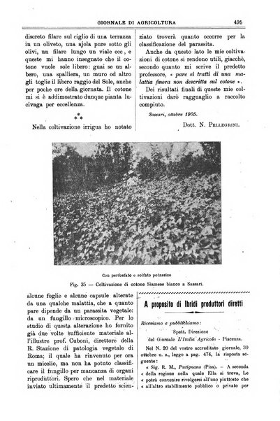 L' Italia agricola giornale di agricoltura