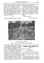 giornale/TO00210416/1905/unico/00000623