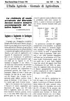 giornale/TO00210416/1906/unico/00000033