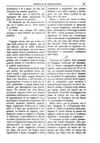 giornale/TO00210416/1906/unico/00000035