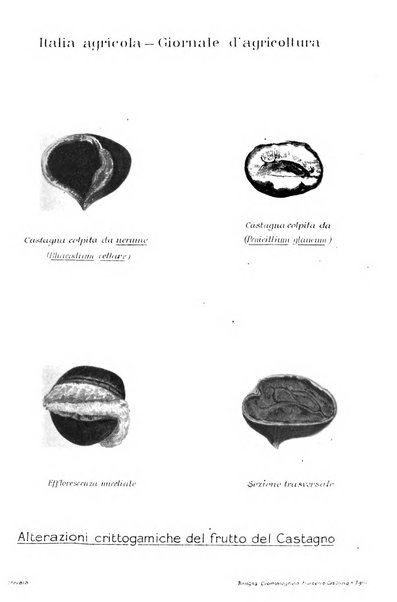L' Italia agricola giornale di agricoltura