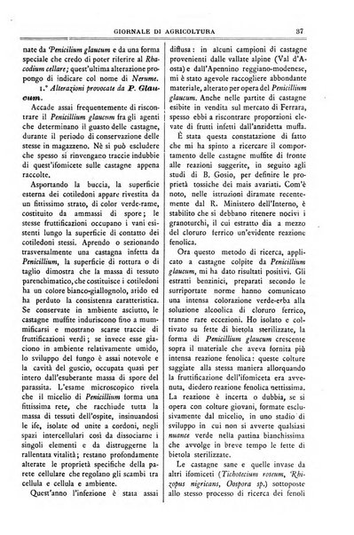 L' Italia agricola giornale di agricoltura