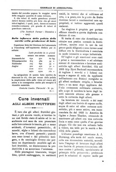 L' Italia agricola giornale di agricoltura