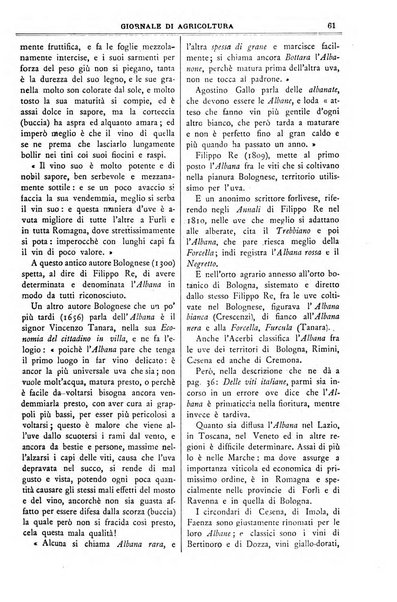 L' Italia agricola giornale di agricoltura