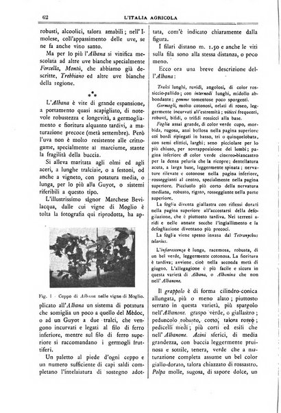 L' Italia agricola giornale di agricoltura