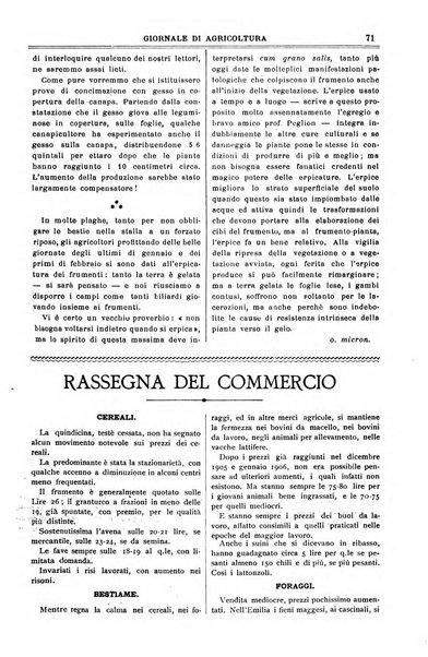 L' Italia agricola giornale di agricoltura