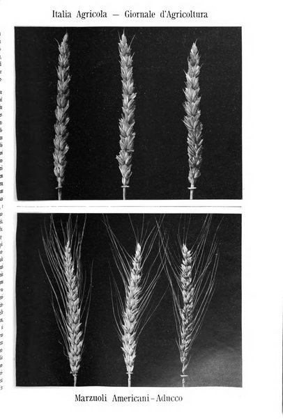 L' Italia agricola giornale di agricoltura