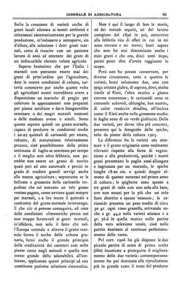 L' Italia agricola giornale di agricoltura