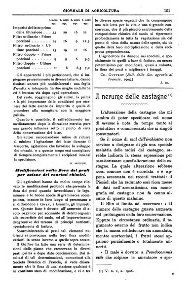 L' Italia agricola giornale di agricoltura