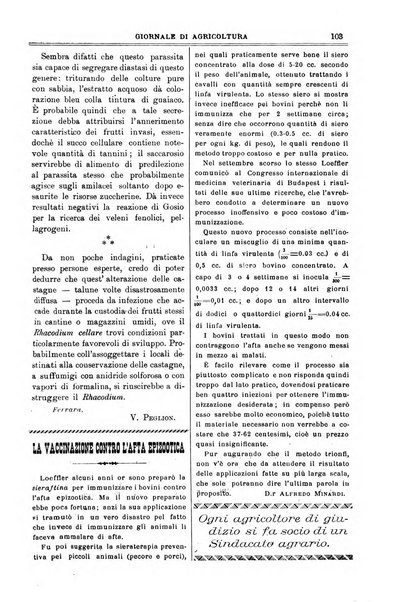 L' Italia agricola giornale di agricoltura