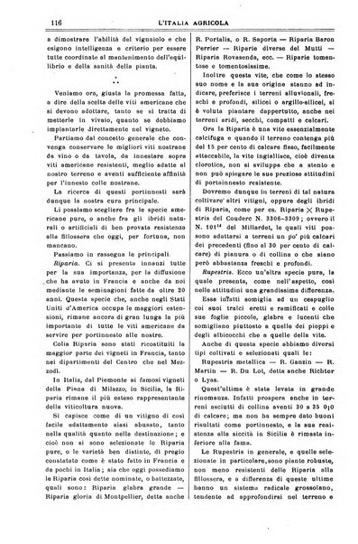 L' Italia agricola giornale di agricoltura