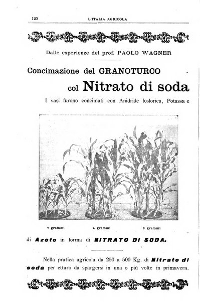 L' Italia agricola giornale di agricoltura