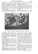 giornale/TO00210416/1906/unico/00000151