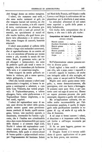 L' Italia agricola giornale di agricoltura