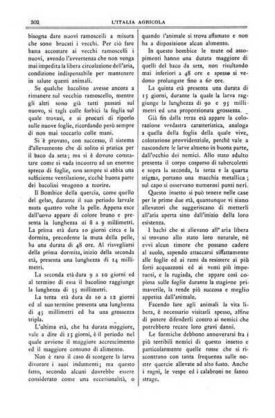 L' Italia agricola giornale di agricoltura