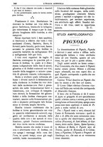 giornale/TO00210416/1906/unico/00000382