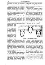 giornale/TO00210416/1906/unico/00000432