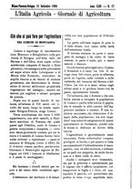 giornale/TO00210416/1906/unico/00000449