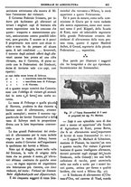 giornale/TO00210416/1906/unico/00000463