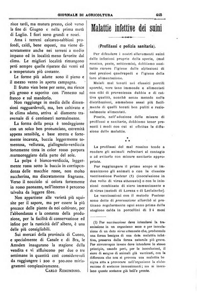 L' Italia agricola giornale di agricoltura